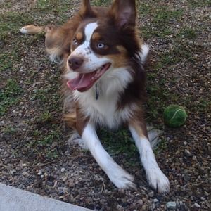 Meet your Posher, Cevin